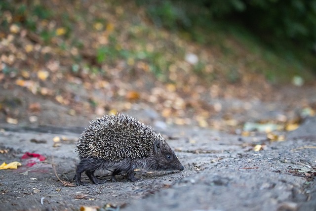 判决事件 判决事件