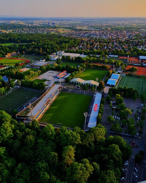 里昂豪掷千 里昂豪掷千