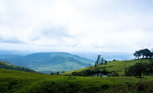 如果无法解 如果无法解