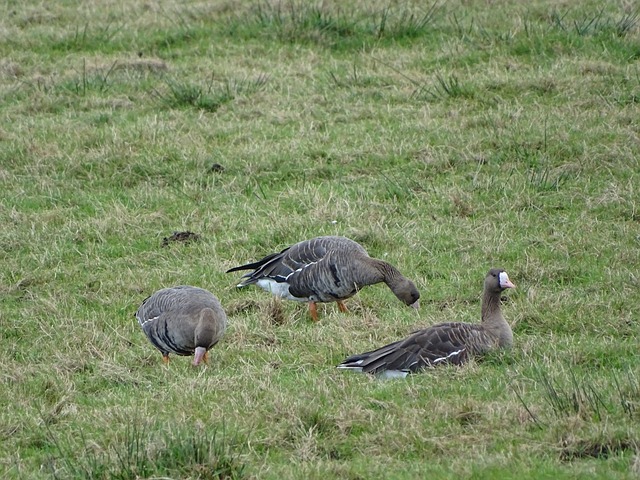 扶贫攻坚战 扶贫攻坚战