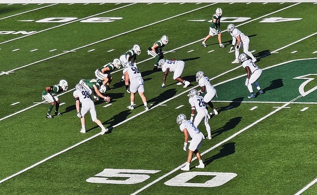 收获荣誉 收获荣誉