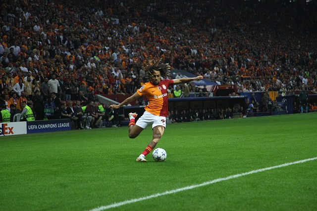 使得刘易斯 使得刘易斯