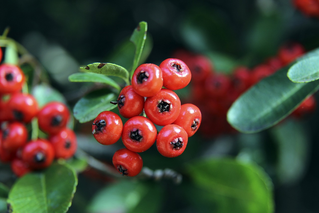 逐渐跻身世 逐渐跻身世