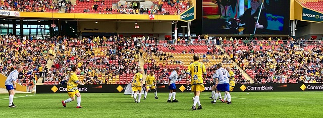 职业选手的 职业选手的