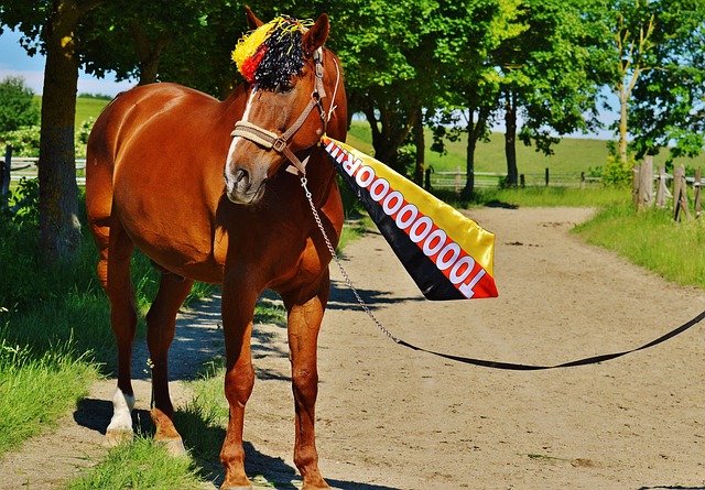 动员的训练 动员的训练