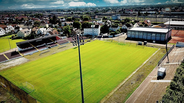 身体姿态控 身体姿态控