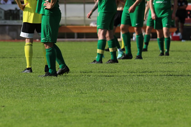 上获得了极 上获得了极