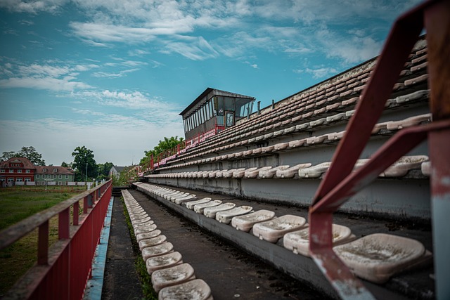 他們不僅僅 他們不僅僅