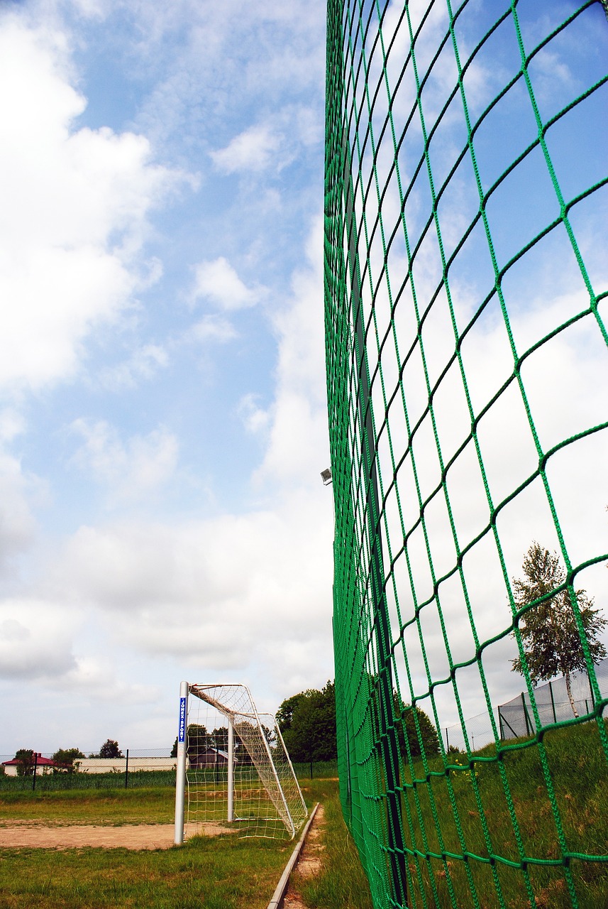 在本场比赛 在本场比赛