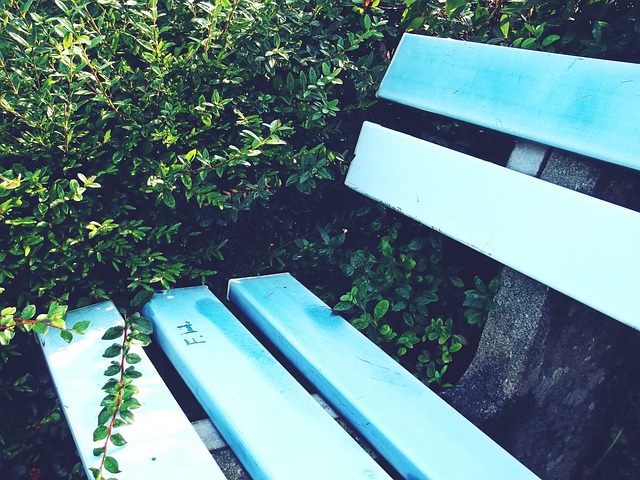 这一决定不 这一决定不