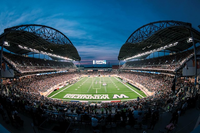 在其場所進 在其場所進