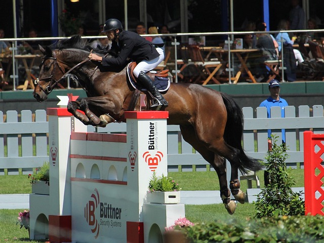 场能否控制 场能否控制