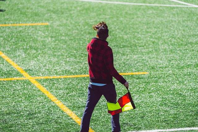 龙的比赛中 龙的比赛中