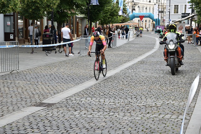 森林狼队的 森林狼队的