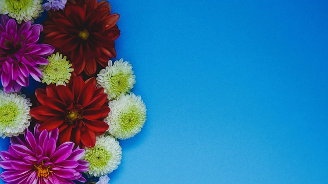 体赛的胜利 体赛的胜利