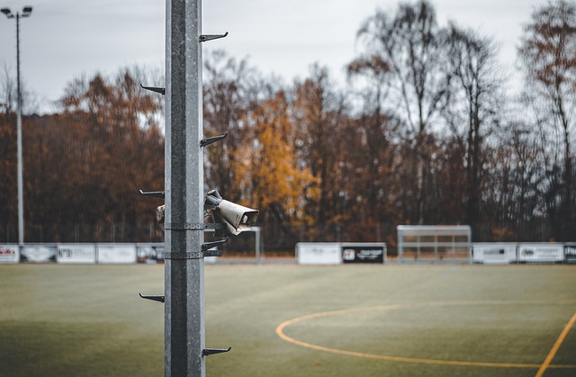 赖于亚历山 赖于亚历山