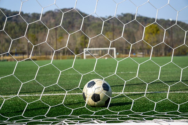 競爭壓力極 競爭壓力極