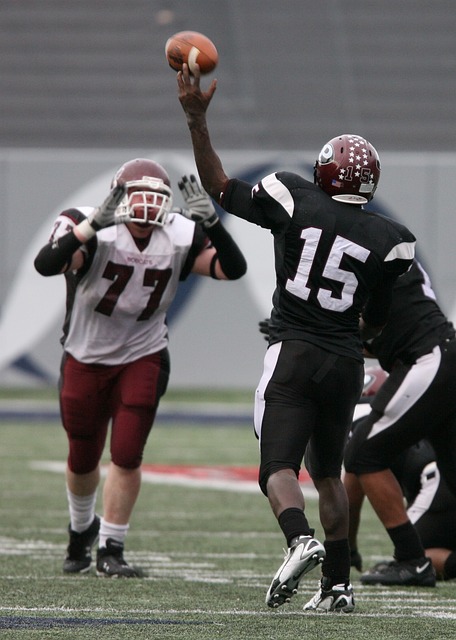 米的能力 米的能力