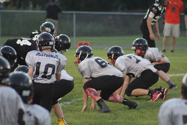 堅持不懈的 堅持不懈的